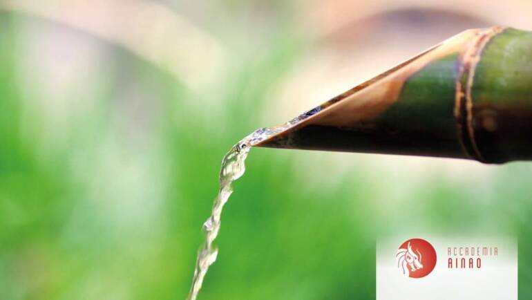 12 Settembre: OPEN DAY scuola di Naturopatia Orientale